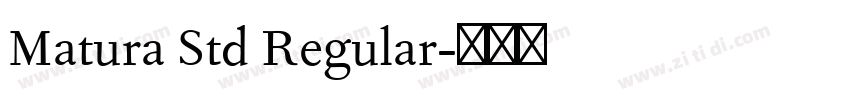 Matura Std Regular字体转换 Matura Std Regular字体转换